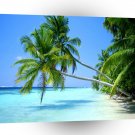 Tropical Leaning Palms Beach A1 XLarge Canvas