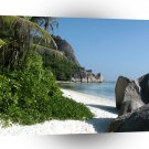 Tropical Loneliness A1 XLarge Canvas