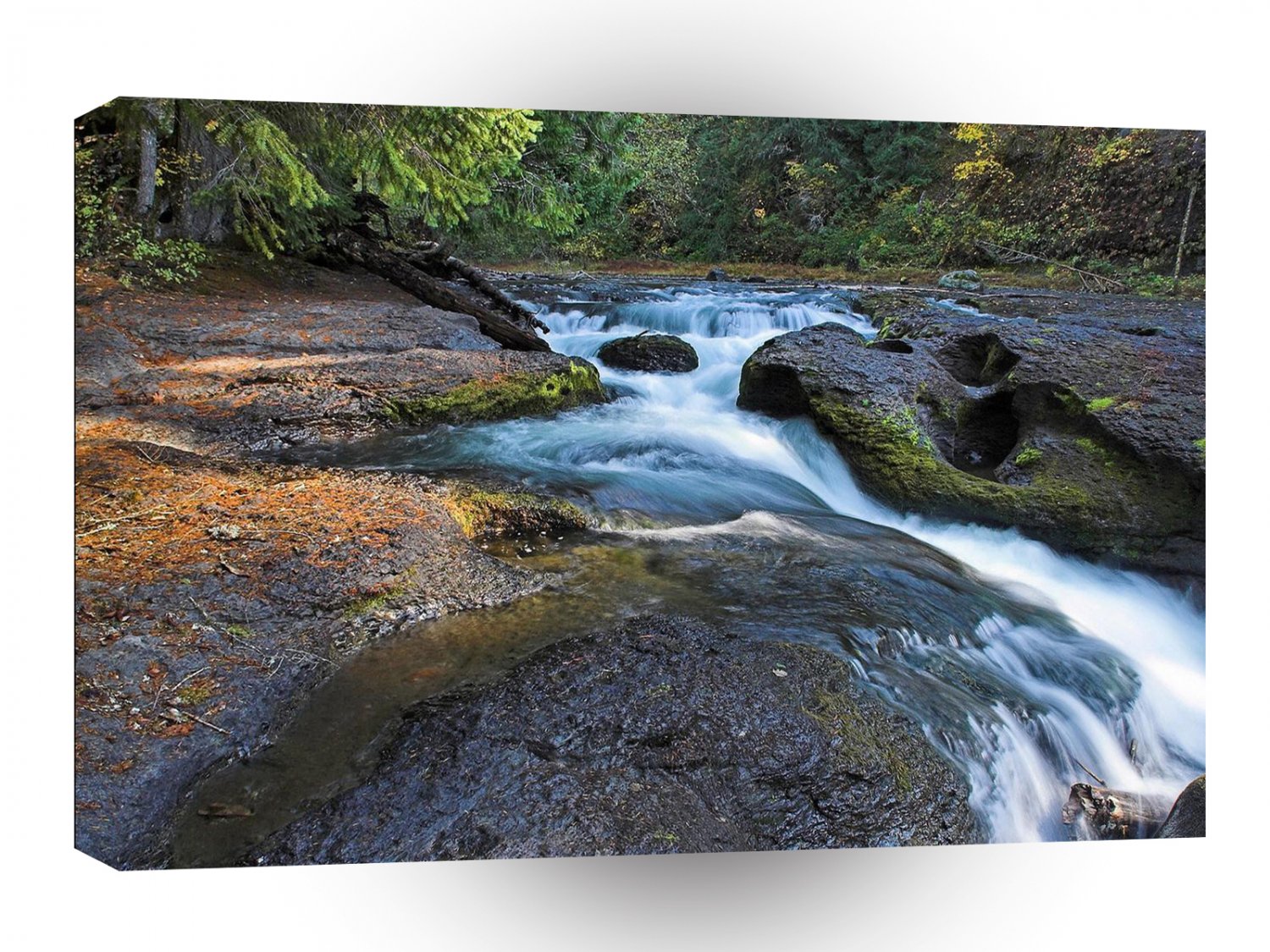 Water A Rivers Natural Path A1 XLarge Canvas