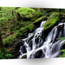 Water After The Rain Smoky Mountains A1 XLarge Canvas