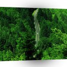 Water Aridein Woods A1 XLarge Canvas