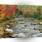Water Autumn Colors Hampshire A1 XLarge Canvas