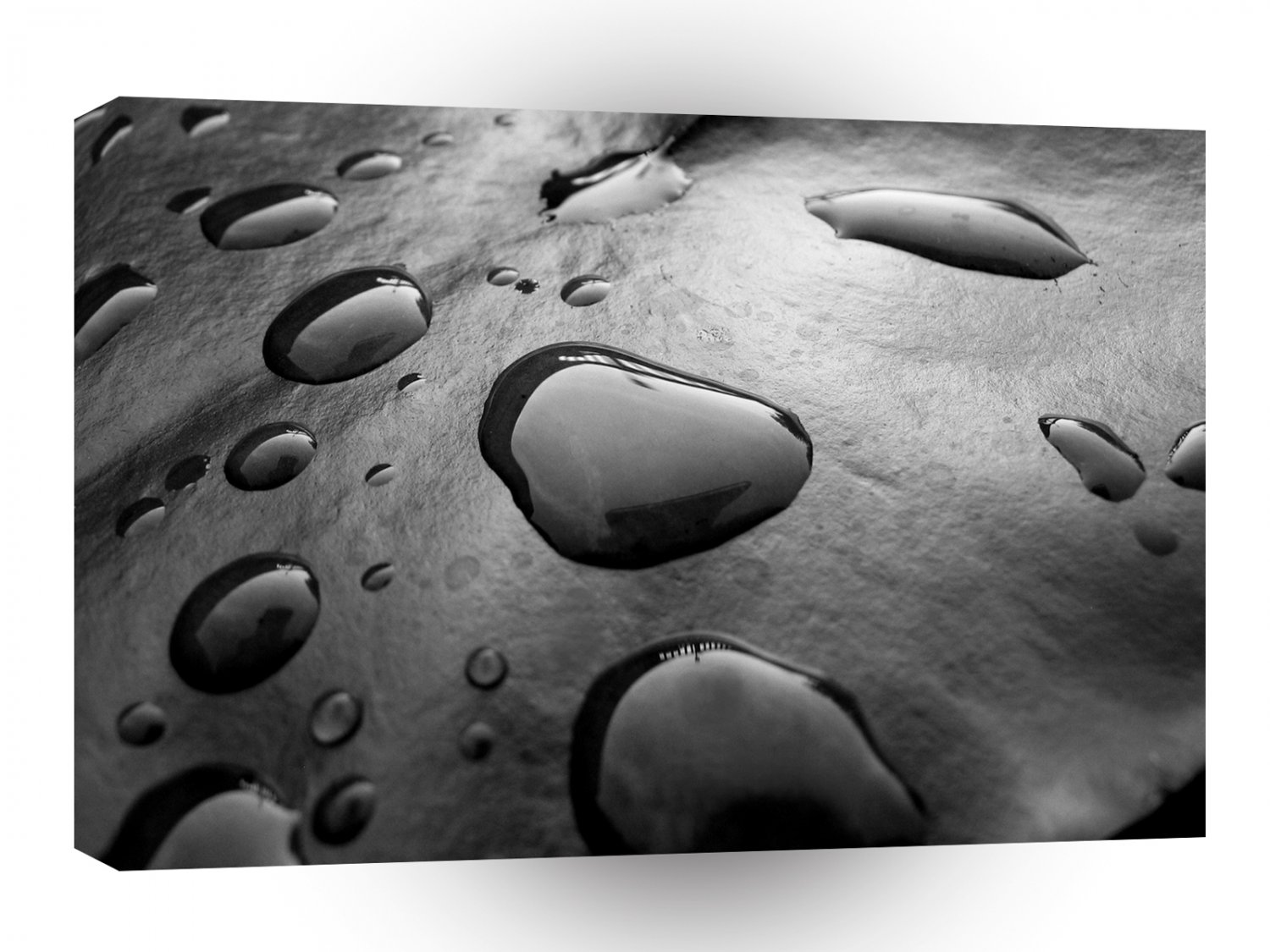 Water Black Drops A1 XLarge Canvas