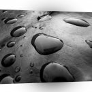 Water Black Drops A1 XLarge Canvas