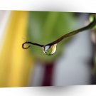 Water Branch Droplet A1 XLarge Canvas