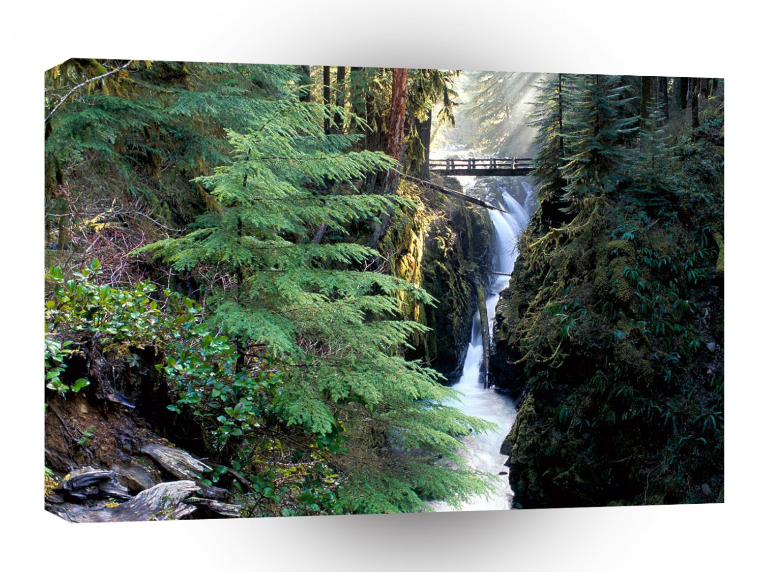 Water Bridge Over Sol Duc Falls Olympic A1 XLarge Canvas