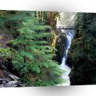 Water Bridge Over Sol Duc Falls Olympic A1 XLarge Canvas