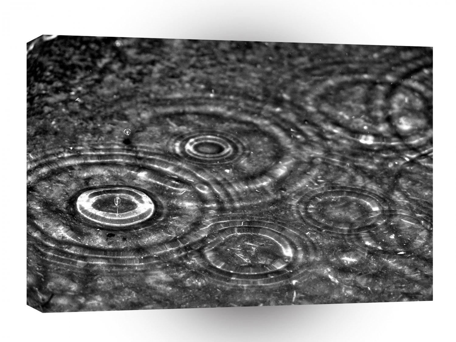 Water Drop Circles A1 XLarge Canvas