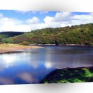 Water Dunstickin Lake A1 XLarge Canvas