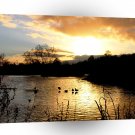 Water Early Rise On The Lake A1 XLarge Canvas