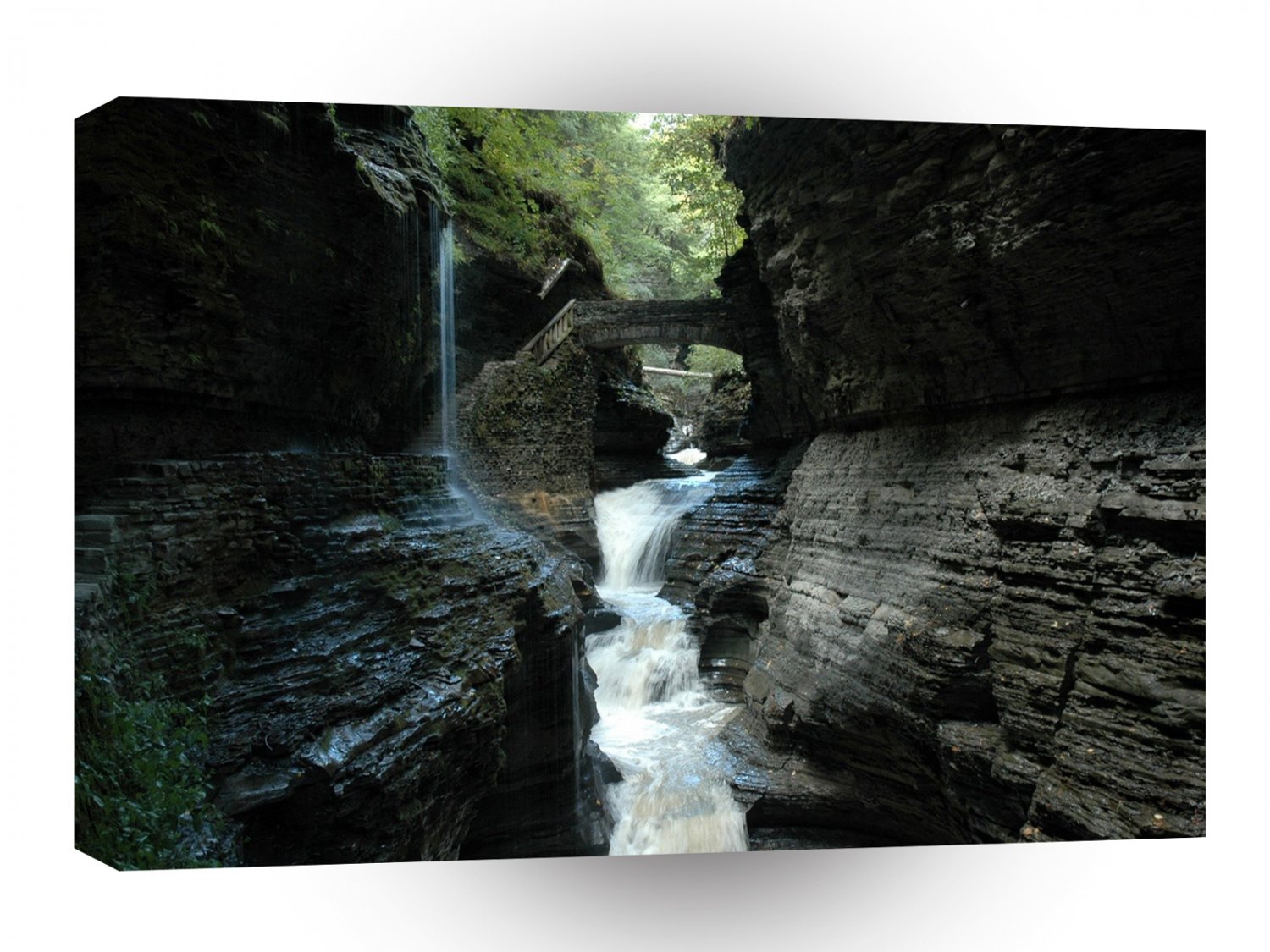 Water Forest River Gorge A1 XLarge Canvas