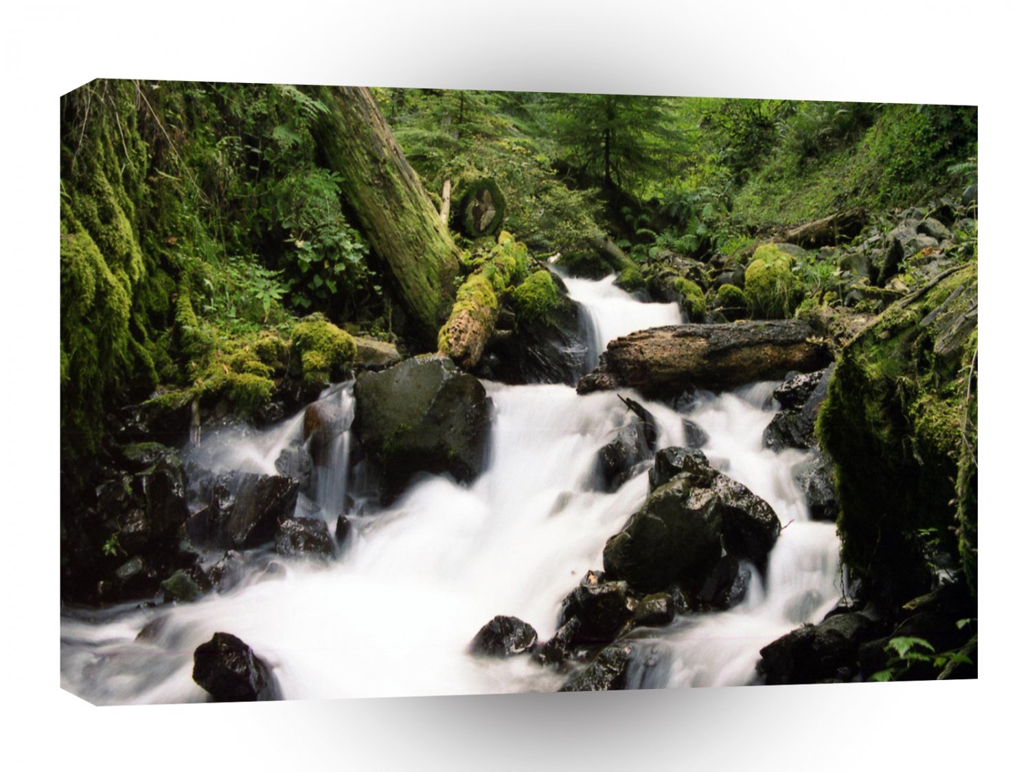Water Forest Stream A1 XLarge Canvas