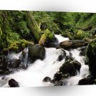 Water Forest Stream A1 XLarge Canvas