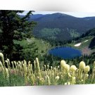Water Hidden Lake Montana A1 XLarge Canvas