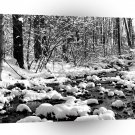 Water Icy Cold River Ontario A1 XLarge Canvas