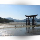 Water Japanese Kamisama A1 XLarge Canvas