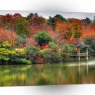 Water Japanese Wilderness A1 XLarge Canvas