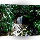 Water Lion Witch And The Wildnerness A1 XLarge Canvas