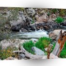 Water Mountain Dews A1 XLarge Canvas