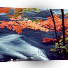 Water Oxtongue River Ontario A1 XLarge Canvas