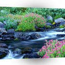 Water Paradise River Mount Rainier A1 XLarge Canvas