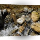 Water Pebble Stream A1 XLarge Canvas