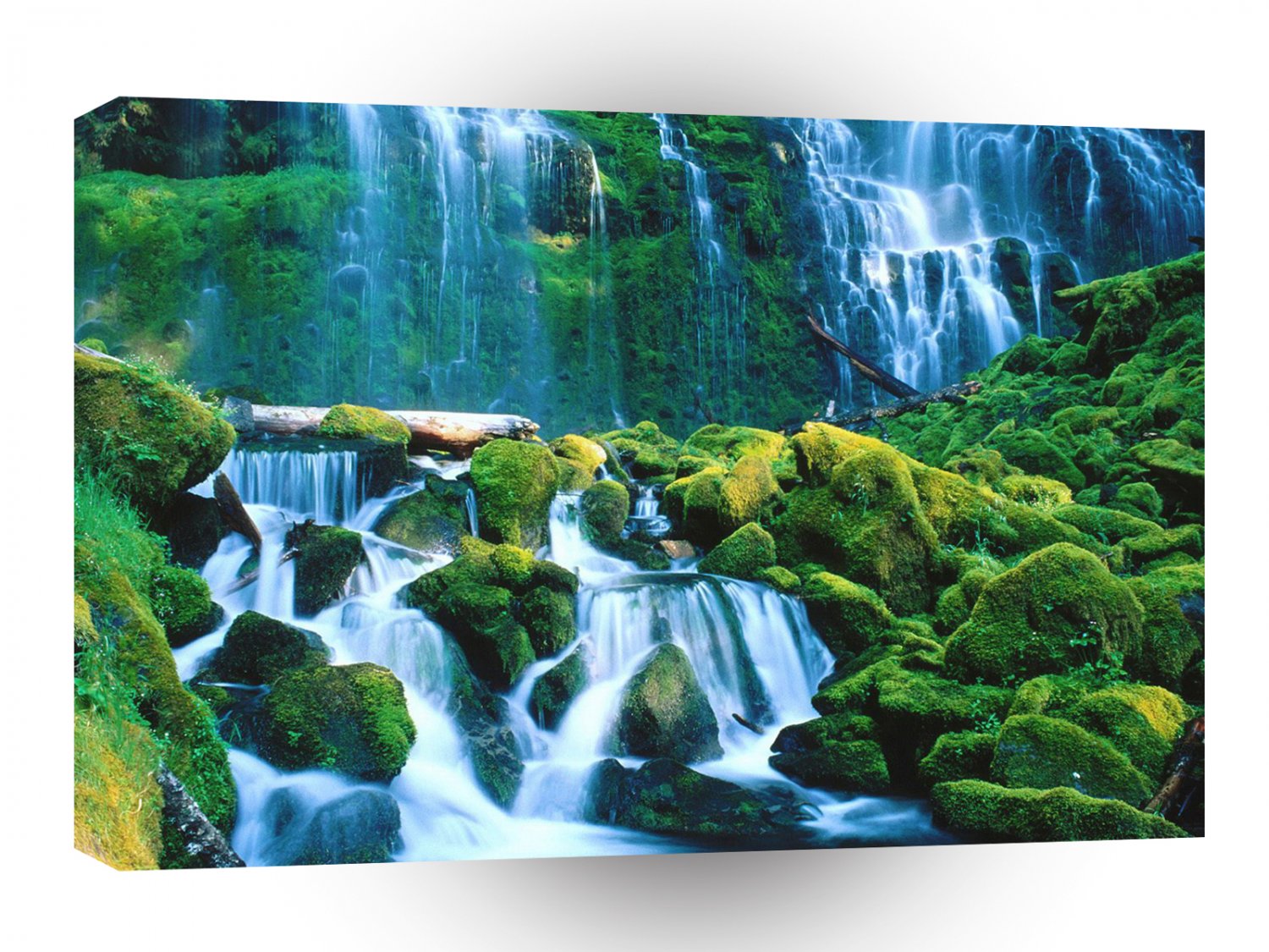 Water Proxy Falls Willamette A1 XLarge Canvas