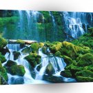 Water Proxy Falls Willamette A1 XLarge Canvas