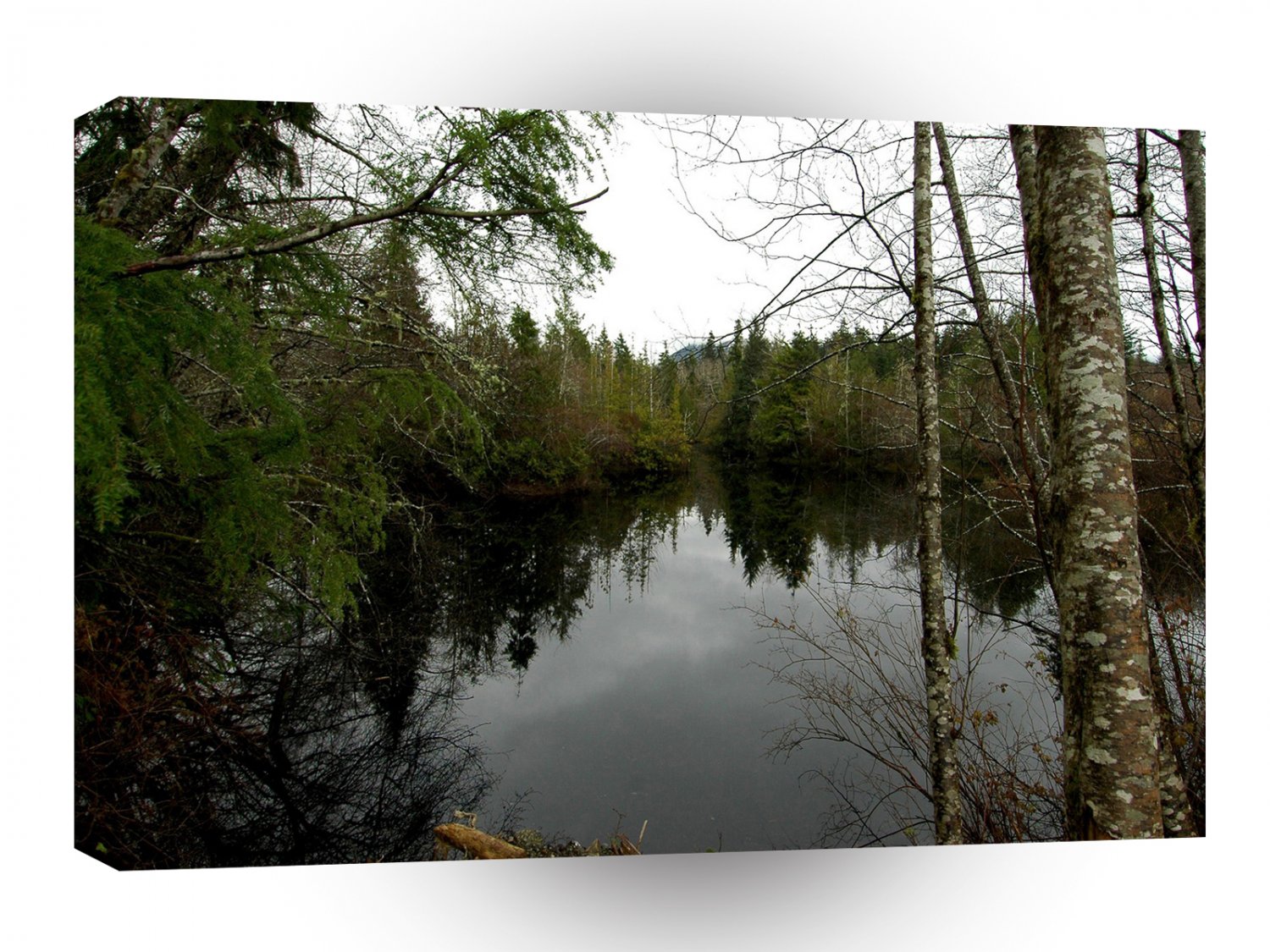 Water Reservior Reflection A1 XLarge Canvas