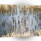 Water Rice Fields Crop A1 XLarge Canvas