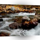 Water River Flowing Seaward A1 XLarge Canvas