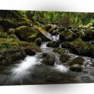 Water River Moss Woodland A1 XLarge Canvas