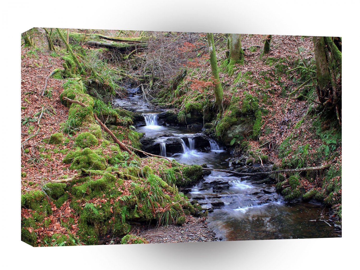 Water River Valley Gorge A1 XLarge Canvas