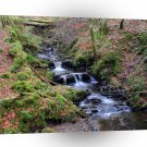 Water River Valley Gorge A1 XLarge Canvas