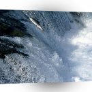 Water Salmon Swimming Upstream Alaska A1 XLarge Canvas