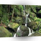 Water Smoky Mountains Tennessee Stream A1 XLarge Canvas