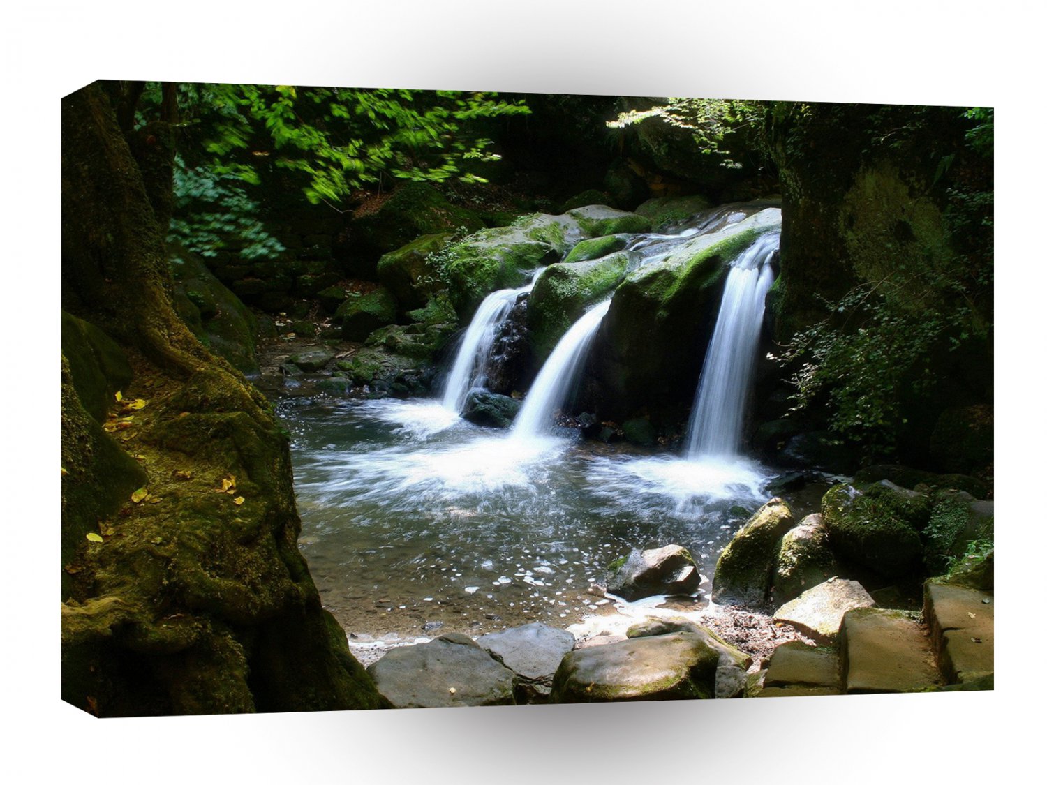 Water Steps To The River A1 XLarge Canvas
