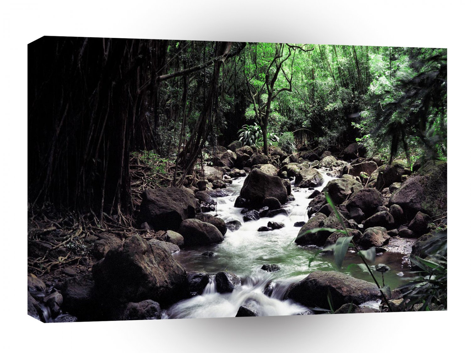 Water Stream Hawaii A1 XLarge Canvas