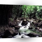 Water Stream Hawaii A1 XLarge Canvas