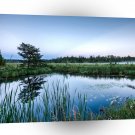 Water Summer Night Ponds A1 XLarge Canvas