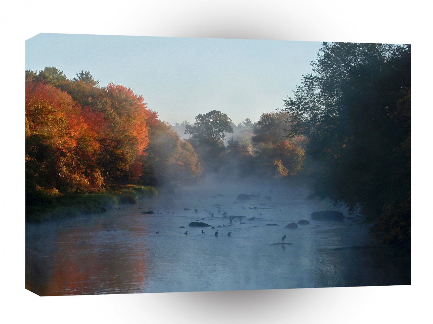 Water Summer Steam Stream A1 XLarge Canvas