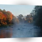 Water Summer Steam Stream A1 XLarge Canvas