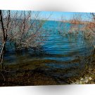 Water Swamp Lake City A1 XLarge Canvas