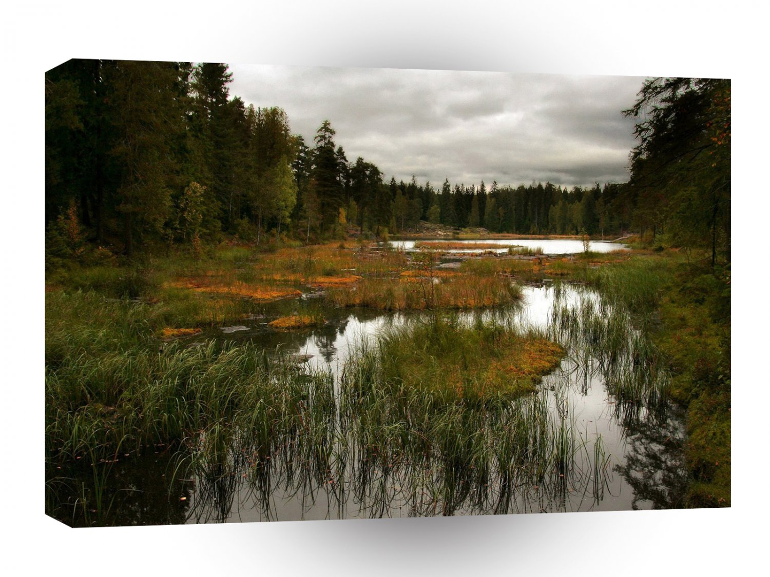 Water Swapy River A1 XLarge Canvas