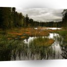Water Swapy River A1 XLarge Canvas