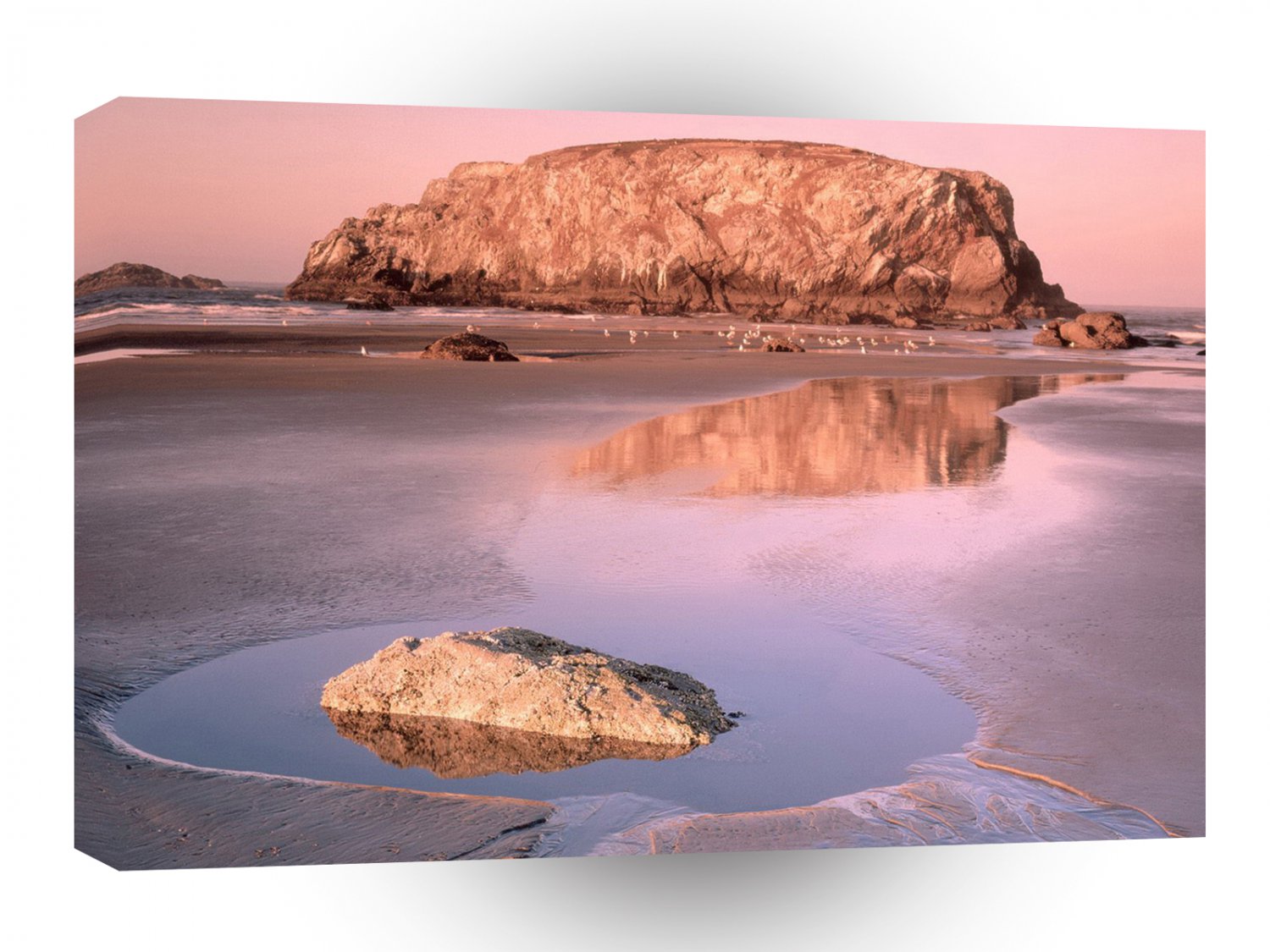 Water Table Rock And Low Tide Reflections Oregon Isla A1 XLarge Canvas
