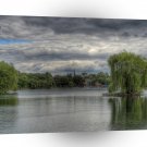 Water Tree Island Reservior A1 XLarge Canvas