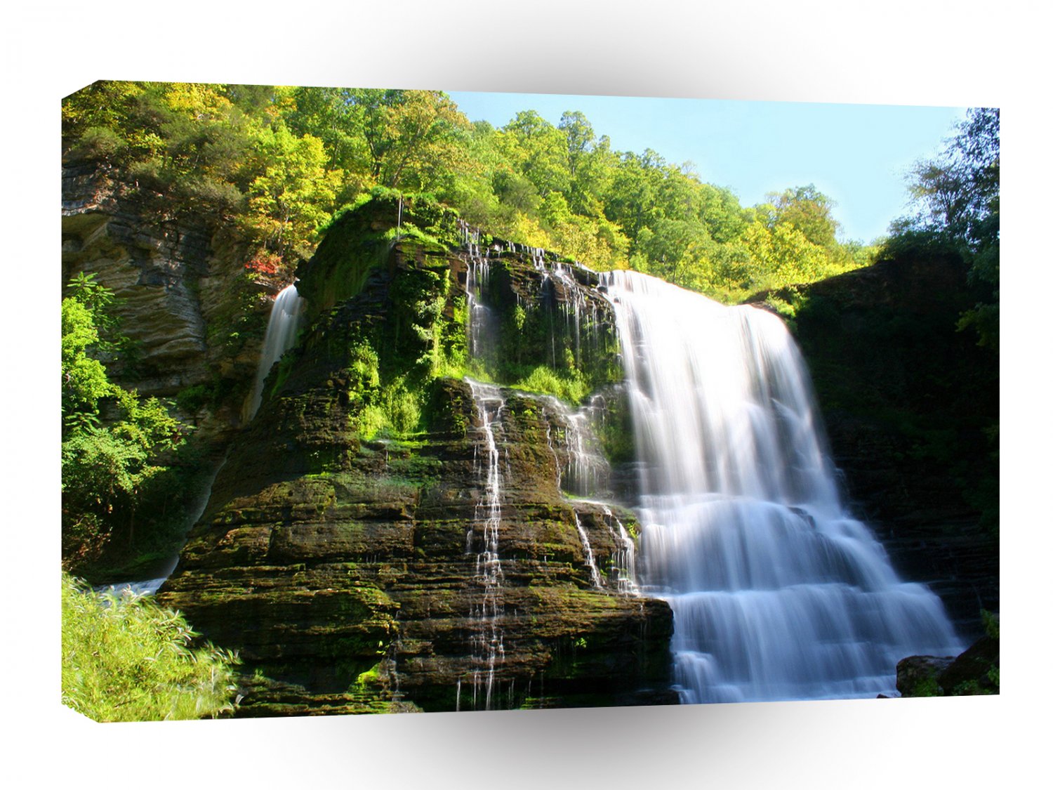 Water Under Growth Falls A1 XLarge Canvas