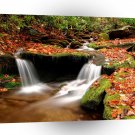 Water Wesser Creek Autumn Nantahala National Fores A1 XLarge Canvas