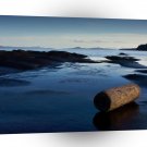 Water Wet Beach Log A1 XLarge Canvas